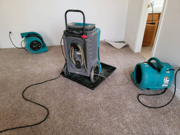 Best Water damage restoration near me  in Florida, NY