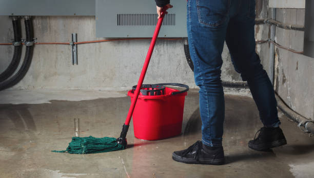 Best Water damage restoration cost  in Florida, NY