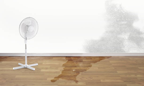 Best Water damage restoration specialists  in Florida, NY
