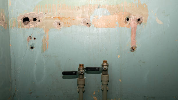 Best Basement water damage restoration  in Florida, NY